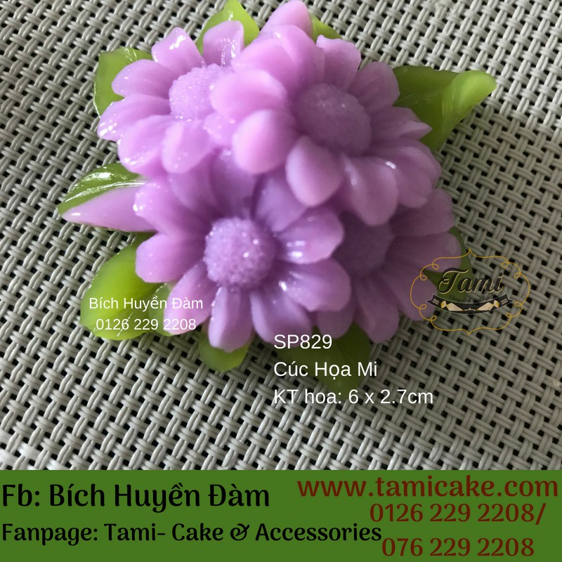 Khuôn silicon rau câu hoa nổi- Cúc Họa Mi | BigBuy360 - bigbuy360.vn