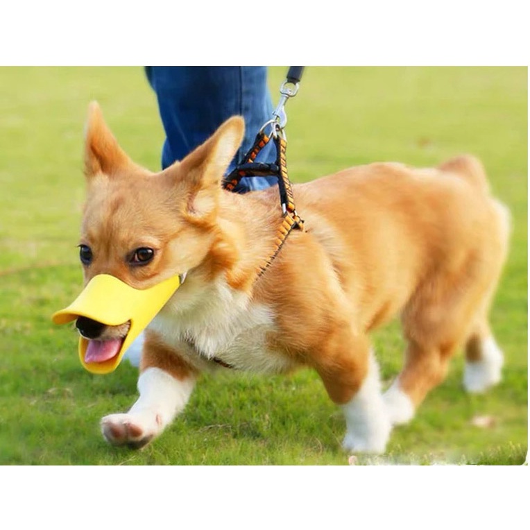 Mõm cho chó Mõm vịt dễ thương Mặt nạ cho chó Mõm Petty Chống vết cắn Ngừng sủa Con chó lớn nhỏ Miệng Mõm cho chó cưng Phụ kiện cho chó cưng