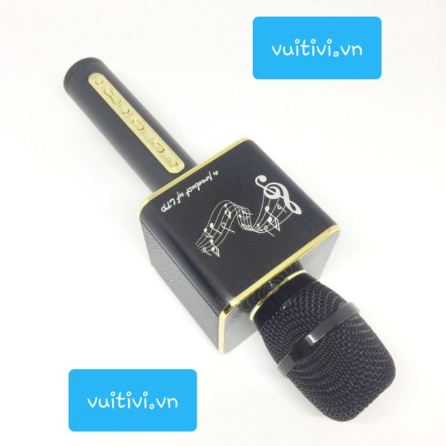 Micro Karaoke Bluetooth YS12 (LTP chính hãng)