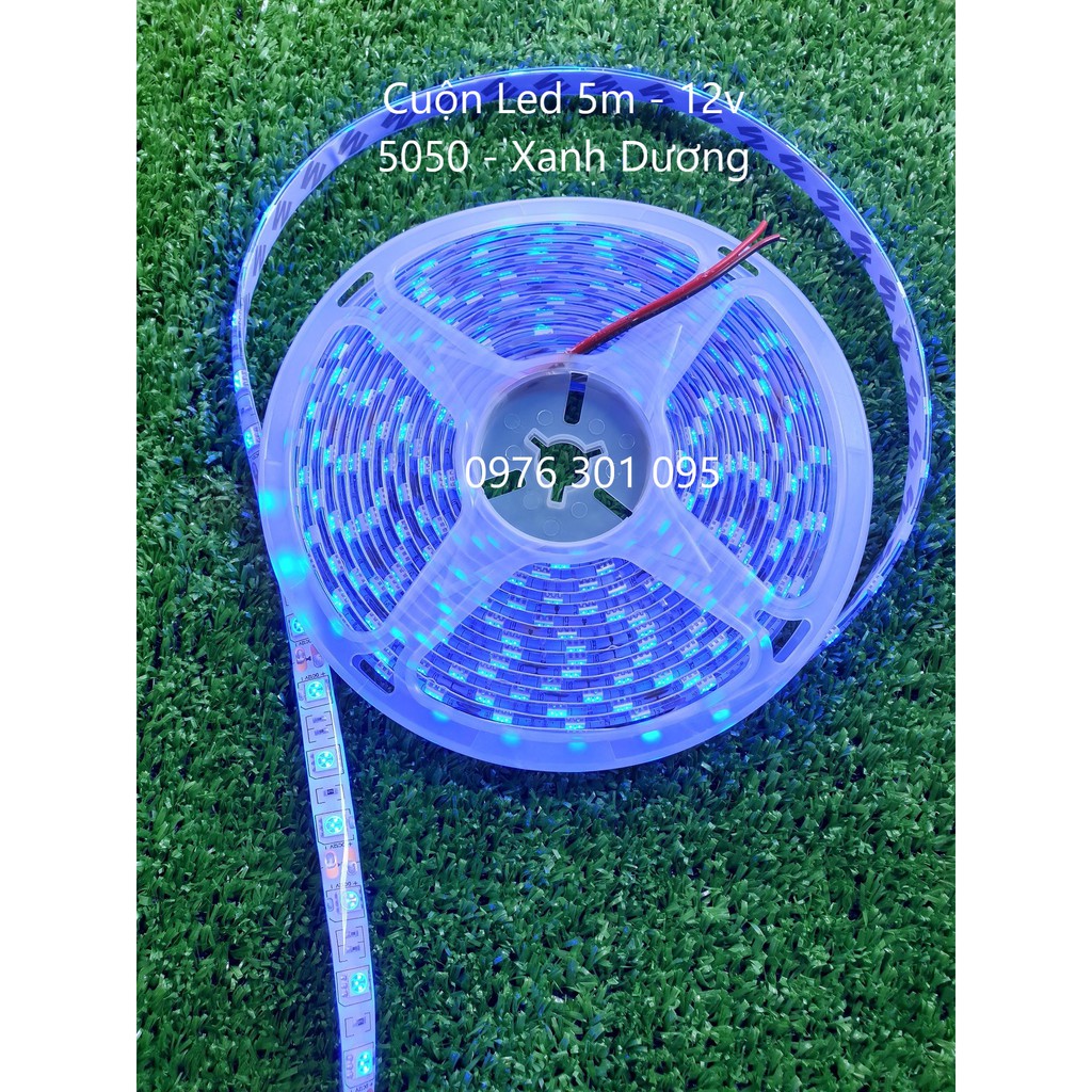 Dây Đèn Hắc Trần Xanh Dương 5m - 12v