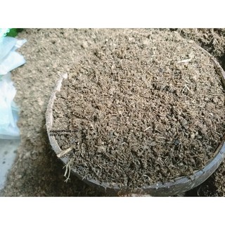 phân bò oai tự nhiên 1kg