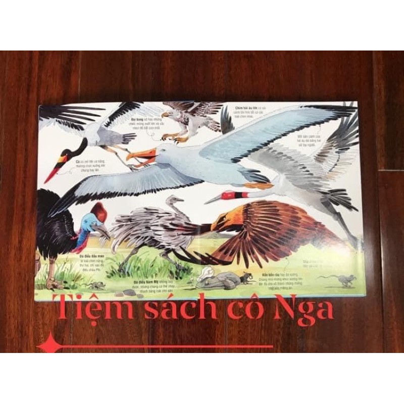 Sách Big Book Of Big Animals - Cuốn Sách Khổng Lồ Về Các Loài Động Vật Khổng Lồ