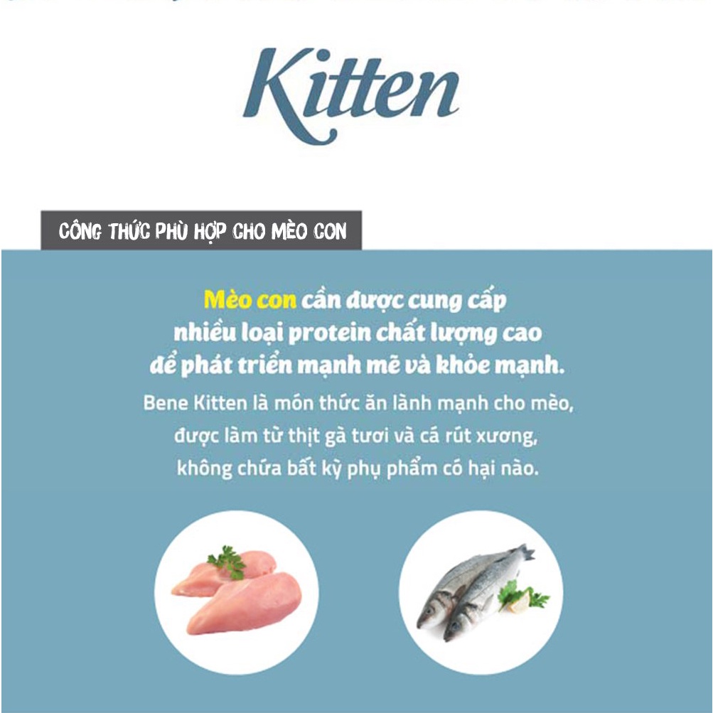 Hạt Natural Core C1 Bene Kitten cho mèo con dưới 12 tháng tuổi