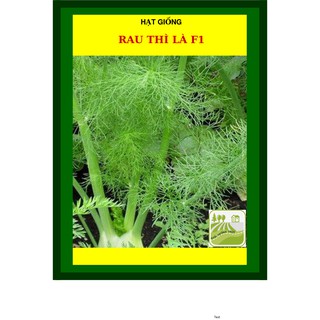[GIỐNG CHỊU NHIỆT] 10G - Hạt Giống Rau Thì Là Tứ Quý
