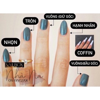 Móng úp thiết kế nailbox (Theo Yêu Cầu)