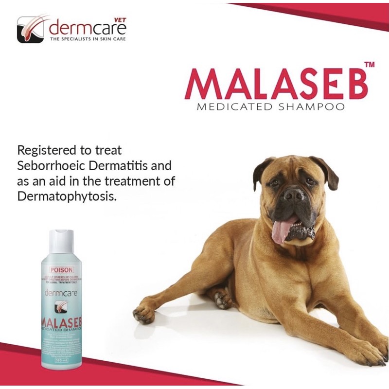 DermCare Malaseb Sữa tắm trị nấm, viêm da cho chó mèo 100ml