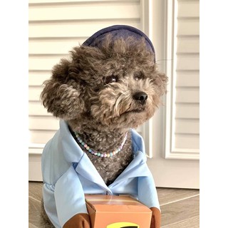 ÁO COSPLAY SHIPPER SIÊU ĐÁNG YÊU CHO CHÓ MÈO