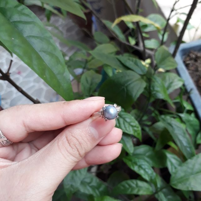 Set Nhẫn bạc hạt trai