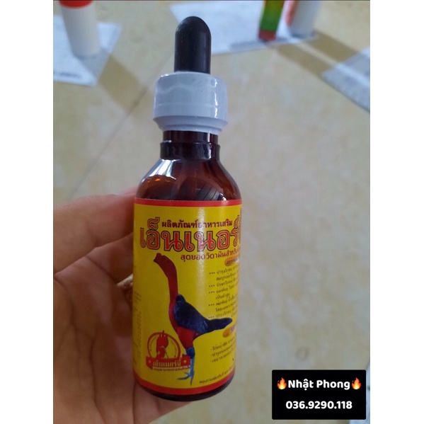 ỐM TRONG THÁI LAN - (Hỗ trợ phục hồi thể lực Chiến Kê)