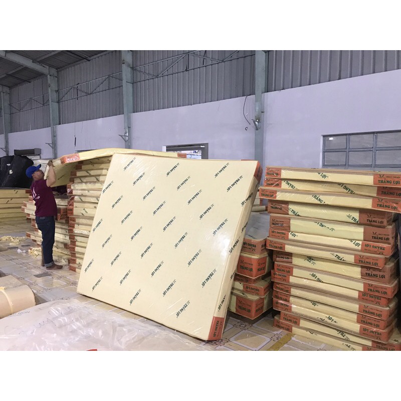 Nệm CAO SU NON THẮNG LỢI 15 phân chính hãng, bảo hành 15 năm, miễn phí giao hàng