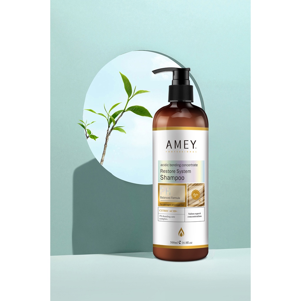 Dầu gội xả phục hồi, tái tạo và cân bằng tóc hư tổn AMEY 500ML