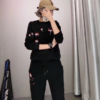 Combo set thể thao