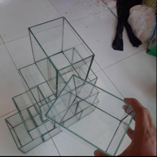 Hồ kiếng dùng đựng betta