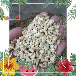 Green Garden -- Cùi bắp nguyên hạt không vụn chuyên dụng cho lót chuồng bò sát ! o.Ô >< .