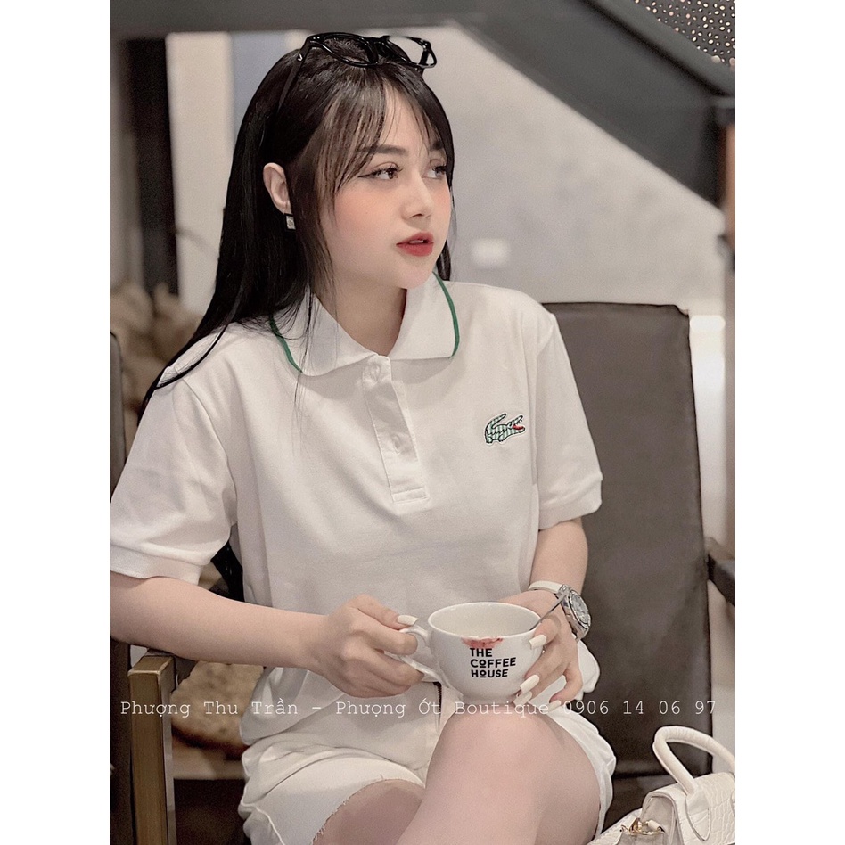Áo polo cộc tay - SHOP THƠM PHẠM