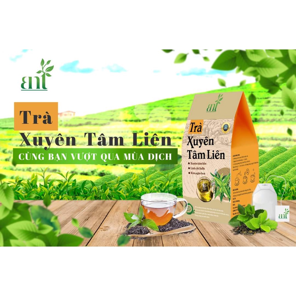 Trà túi lọc xuyên tâm liên (2,5gx20 túi)