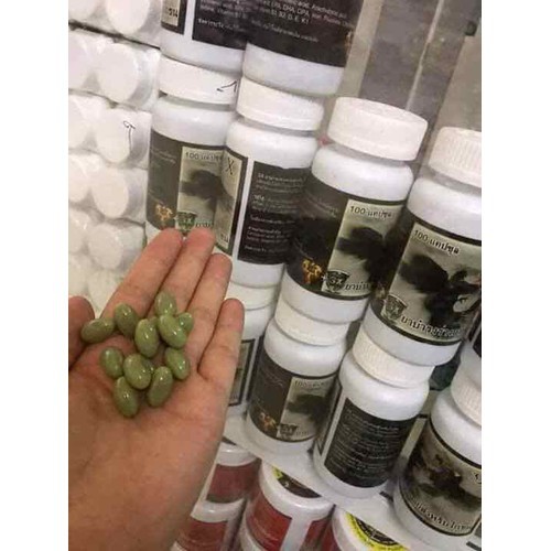 Siêu kích lực 3X trước đá 7 đến 10 ngày cuối chế độ đá - AKHL 909