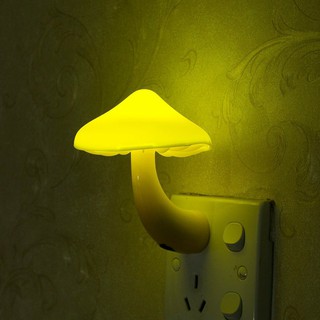 Đèn ngủ hình nấm, đèn ngủ các loại