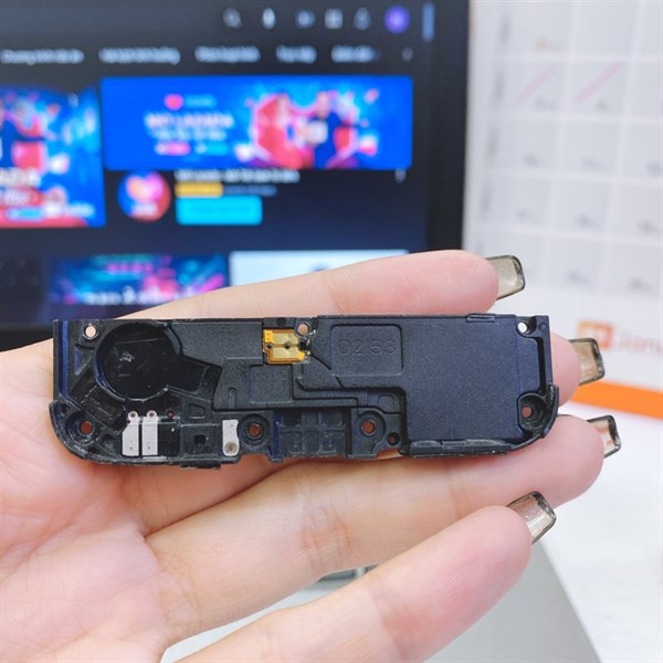 Loa ngoài Vsmart Star - V320