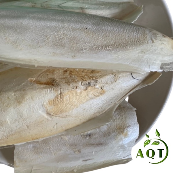 Mai Mực Khô (Nan Mực, Ô Tặc Cốt) Nguyên Miếng, Trừ Viêm Loét Dạ Dày, Tá Tràng, Làm Thức Ăn Cho Chim, Vẹt, Két