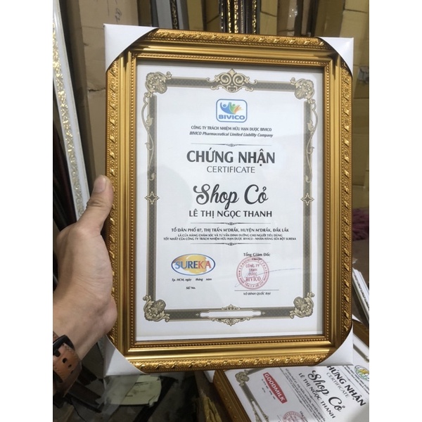 Khung bằng khen , khung hình A4 ,21x30.Treo tường ( mặt kính3li )