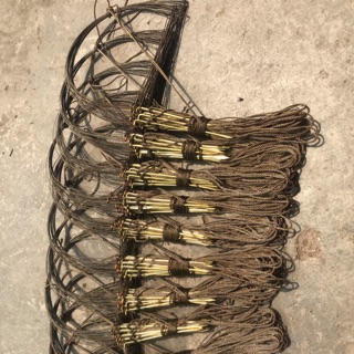 Bẫy gà rừng ,bẫy đá
