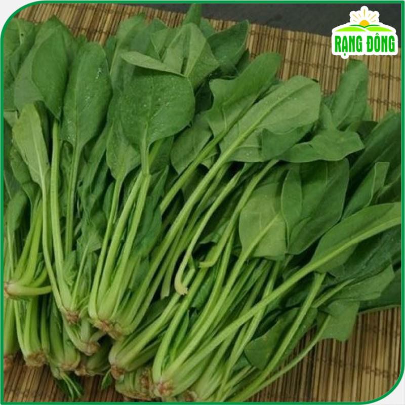 Hạt Giống Cải Bó Xôi (Rau Chân Vịt) Chịu Nhiệt, Dễ Trồng - Gói 5 Gram