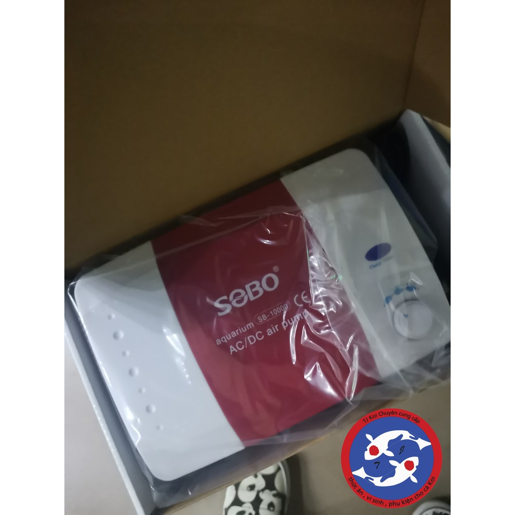 Sủi tích điện oxi cho hồ cá Koi