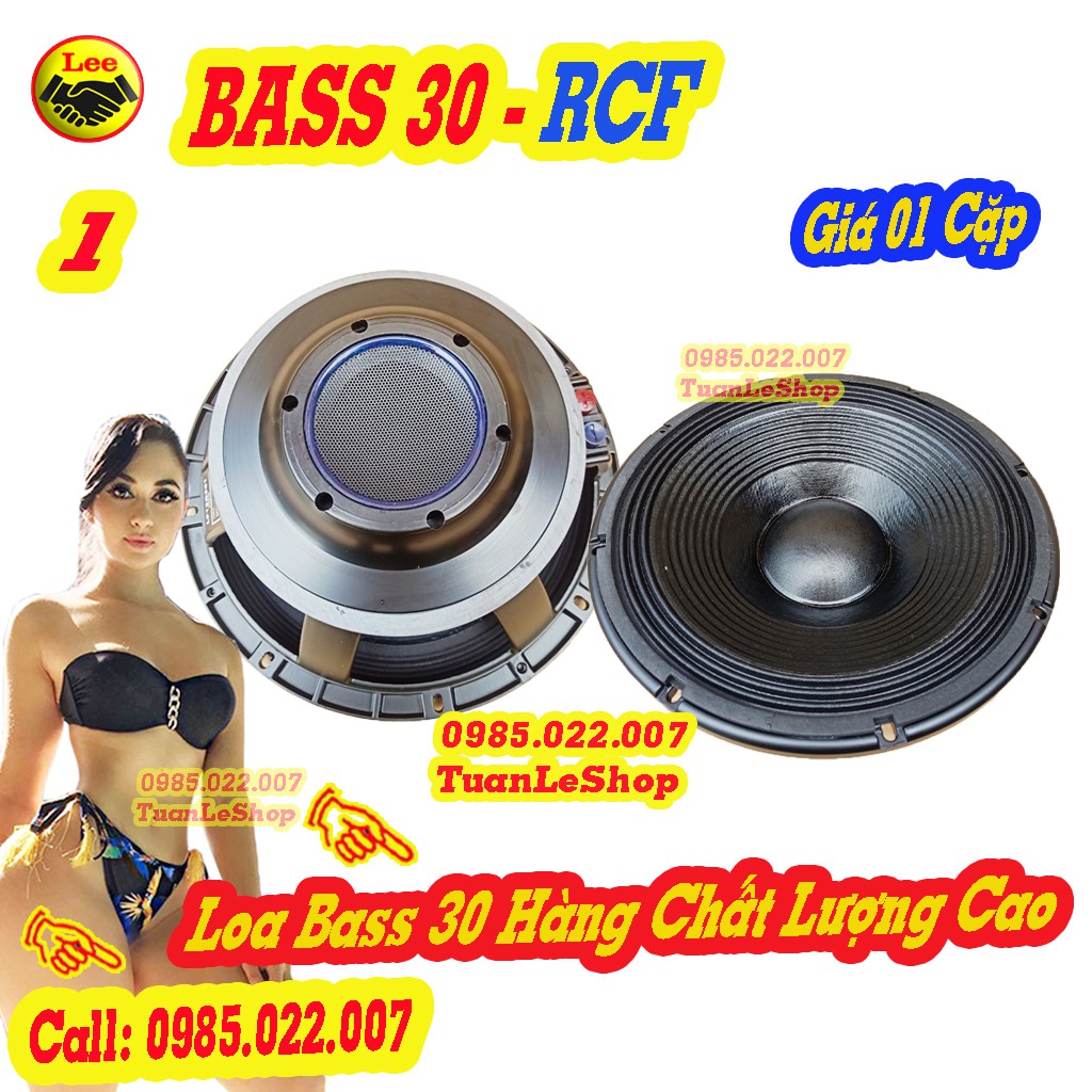 02 CỦ BASS 30 RCF NHẬP KHẨU - GIÁ 02 CHIẾC - TỪ 190 COIL 75MM - CỦ LOA 3 TẤC