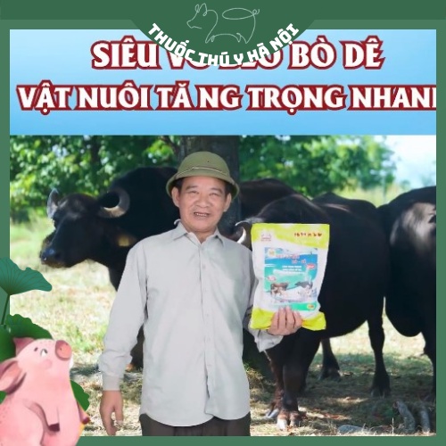 Siêu Vỗ Béo Bò Dê, Hàng Chuẩn Công Ty BigBoss