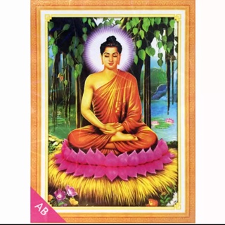 Tranh đính đá 5d phật tổ bồ đề 50 x68 cm