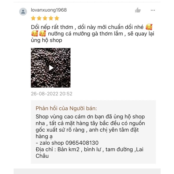 Hạt Dổi Nếp [ NỮ HOÀNG GIA VỊ TÂY BẮC ]