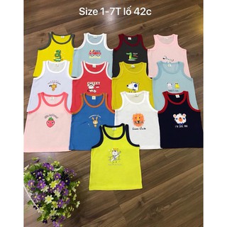 Combo 100 áo xuất nhật