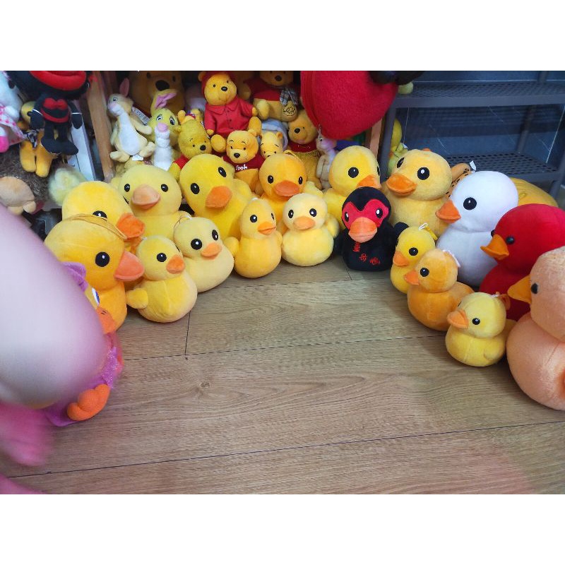 Gấu bông vịt vàng🥰🥰🥰