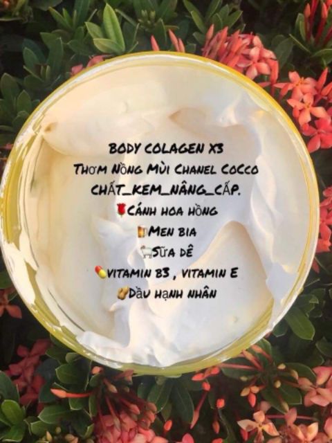 Chuyên cung cấp kem dưỡng trắng da body COLLAGEN X3 và tâm trắng KIWI X3 an toàn và hiệu quả tai nha