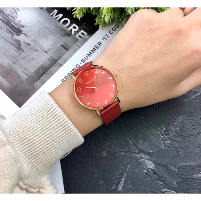 ‼️RẺ VÔ ĐỊCH ‼️ Đồng hồ NỮ COACH