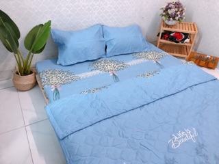 Bộ 5 món hè cotton poly Hoa Baby