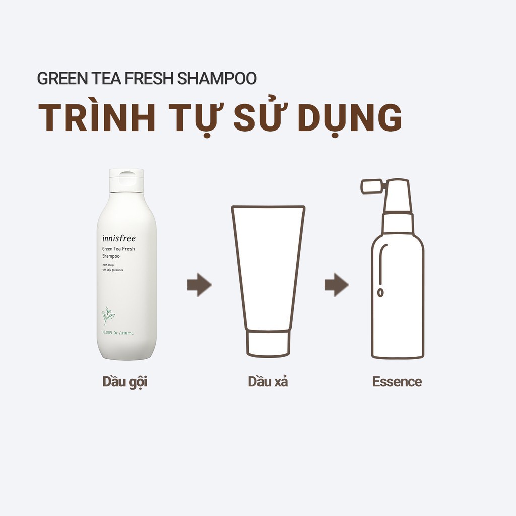 [Mã COSIF05 giảm 10% đơn 400K] Dầu gội trà xanh innisfree Green Tea Fresh Shampoo hạn chế bết tóc 310ml