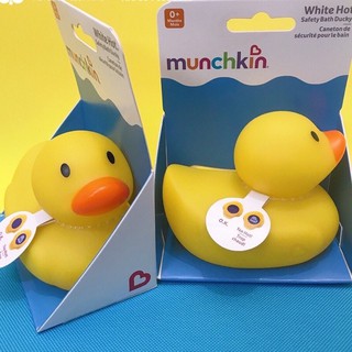 Vịt vàng báo nóng Munckin