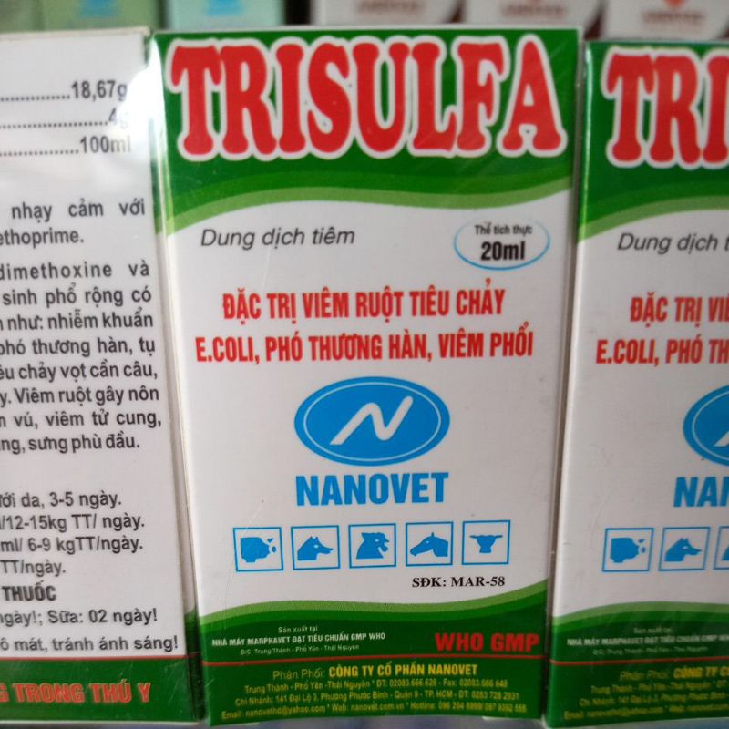 Viêm ruột tiêu chảy Trisulfa 100ml, 20ml