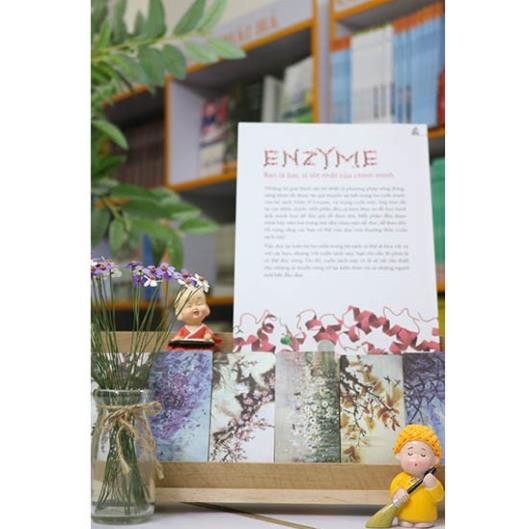 Sách - Nhân Tố Enzyme - Minh Họa - Thái Hà Books