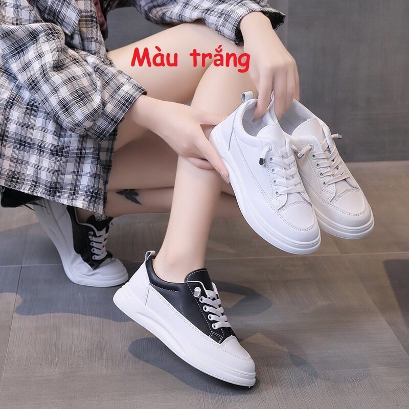 form to Giày lười nữ trắng kiểu thể thao không buộc dây cao cấp, giày slip on nữ