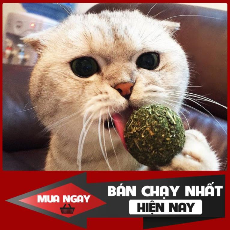 Que Catnip Cỏ Mèo Khô Hình Ngẫu Nhiên