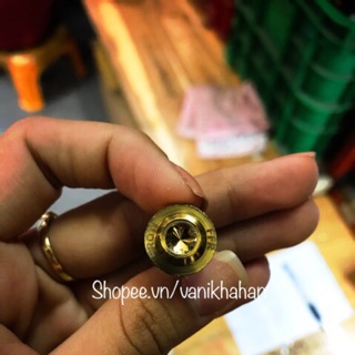 Ốc đĩa proti
