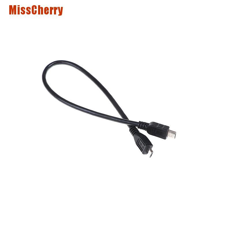 Dây Cáp Chuyển Đổi Đầu Micro Usb Type B Đực Sang Mini Usb Type B