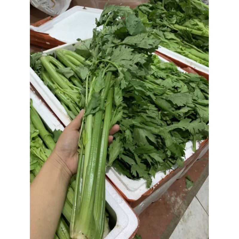 100 gr Bột cần tây nguyên chất Handmade nhà làm | BigBuy360 - bigbuy360.vn