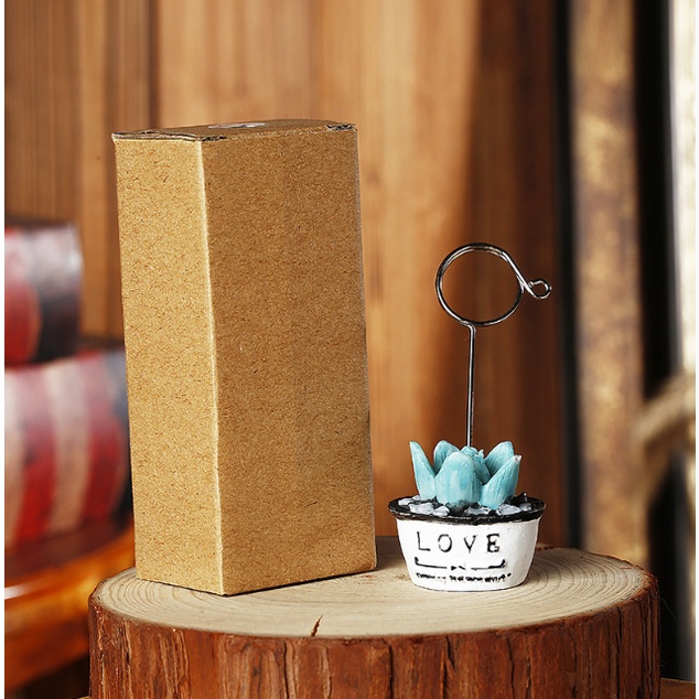 Kẹp ảnh Chậu cây xương rồng