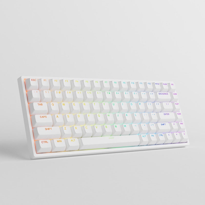 Bàn phím cơ AKKO 3084 v2 RGB – White