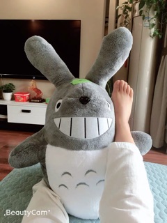 (Order) Thú bông TOTORO size đại (kèm ảnh thật)