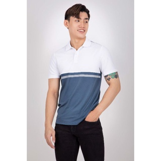 Áo polo sọc ngang
